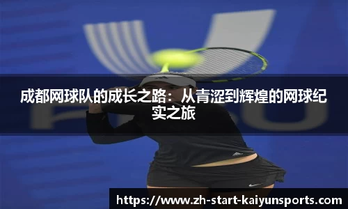 开云体育登录
